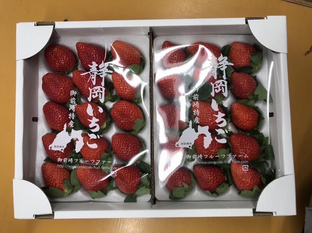 農家直送！ 静岡いちご　糖度13～14度 　1040g 程度 (520g程度×ホールパック2パック)　甘くて地元大人気！やみつきリピーター多数　御前崎産