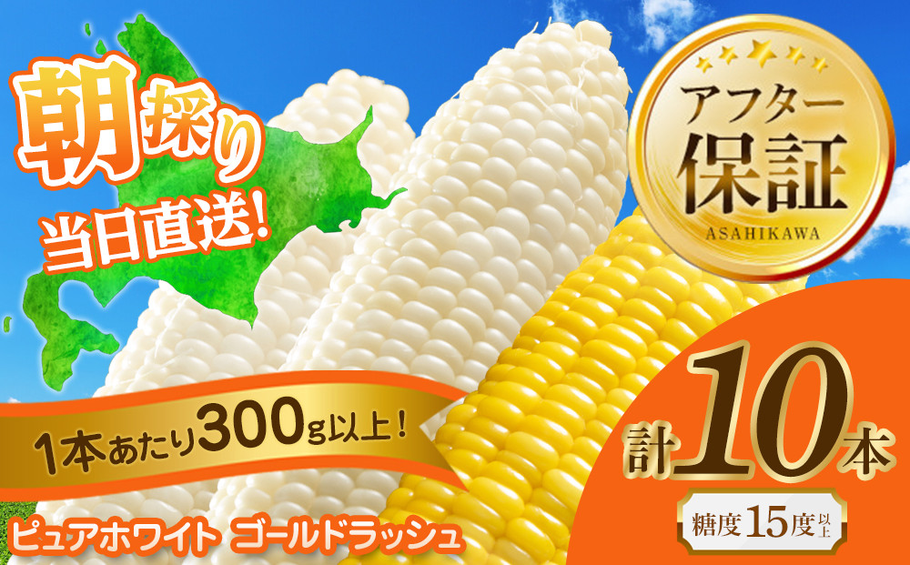 【2026年先行予約】とうもろこしコラボセット!　ピュアホワイト5本×ゴールドラッシュ5本（2026年8月下旬から発送開始予定）【&nbsp;白いとうもろこし&nbsp;人気&nbsp;北海道産&nbsp;糖度&nbsp;生&nbsp;野菜&nbsp;スイートコーン&nbsp;産地直送&nbsp;バーベキュー&nbsp;BBQ&nbsp;コーン&nbsp;旬&nbsp;お取り寄せ&nbsp;旭川市&nbsp;北海道&nbsp;】_03648