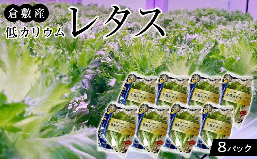 GF07　倉敷産 低カリウム レタス 8パックセット