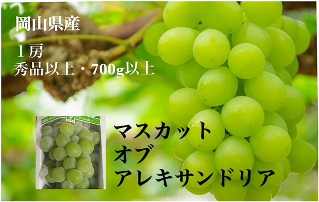 GC09【先行予約】岡山県産　マスカット・オブ・アレキサンドリア 1房（700g以上・秀品以上 ）化粧箱入り【シャインマスカット 果物 フルーツ 国産 人気 おすすめ 岡山県 倉敷市】