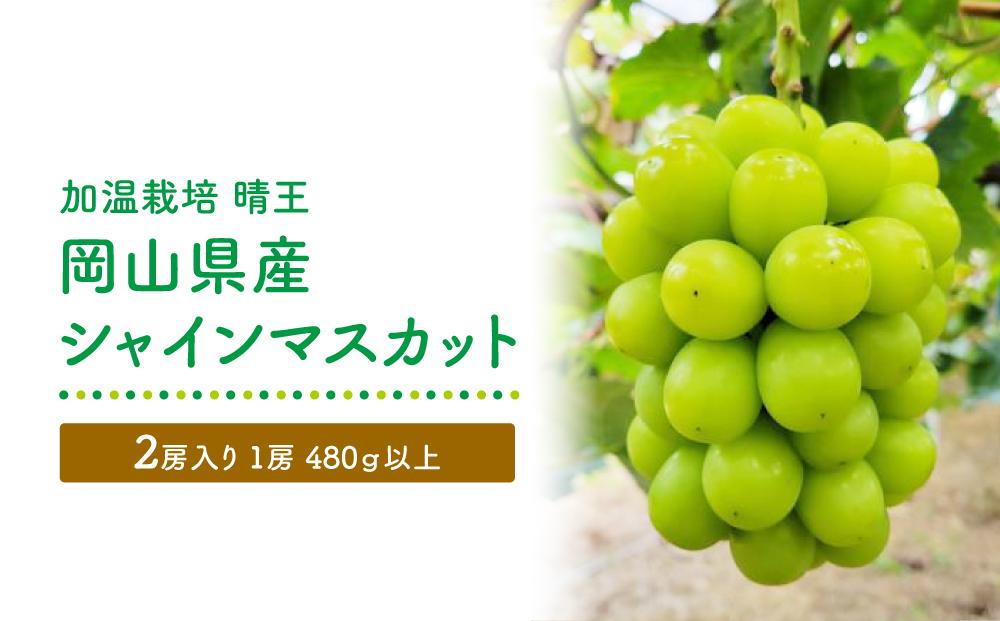 GV09　【加温栽培（晴王）】岡山県産シャインマスカット2房入り（1房480ｇ以上）　＜2025年発送＞