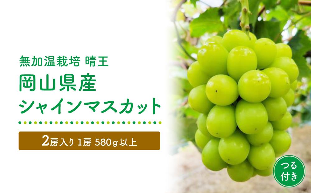 GV12　【無加温栽培（晴王）】岡山県産シャインマスカットつる付き2房入り（1房580ｇ以上）＜2025年発送＞【シャインマスカット シャイン マスカット 人気フルーツ 岡山フルーツ おすすめフルーツ 岡山県 倉敷市】