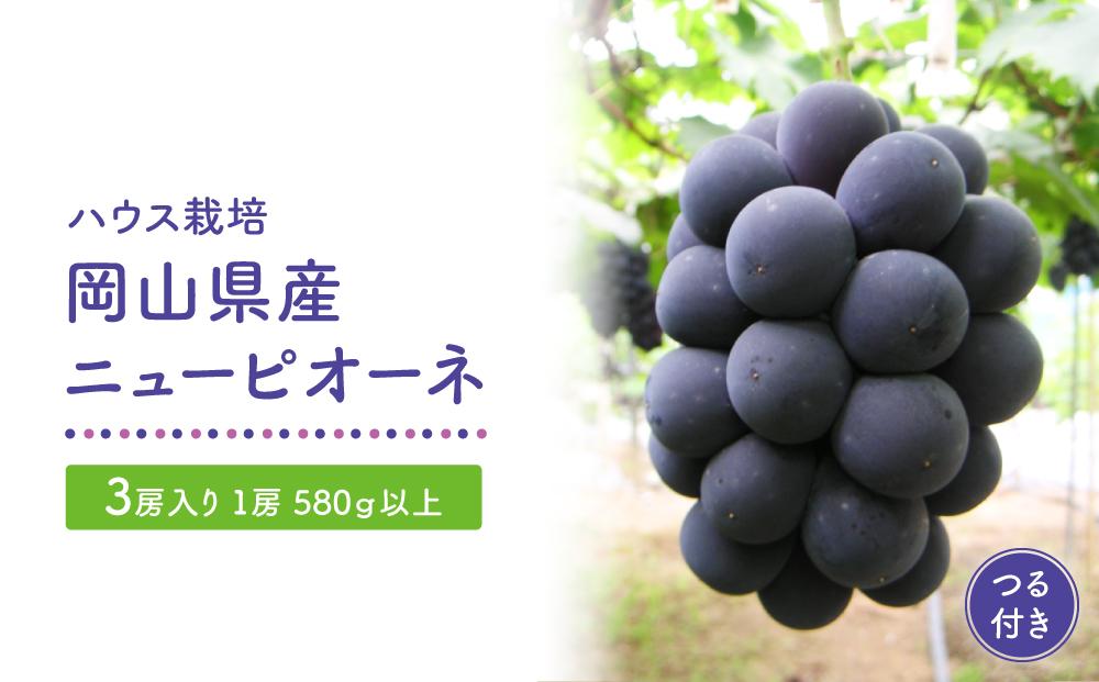 GV17　【ハウス栽培】岡山県産ニューピオーネつる付き3房入り（1房580ｇ以上）　＜2025年発送＞