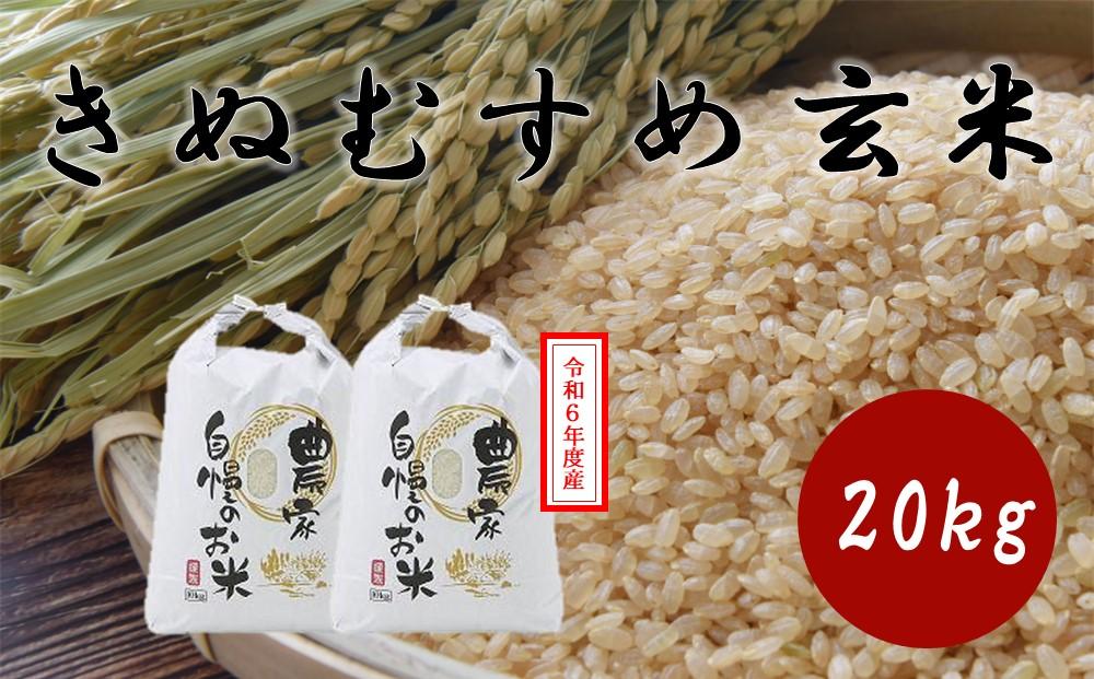 HD07　【先行予約】令和6年度産  きぬむすめ 玄米 20kg　岡山県倉敷市産【玄米 米 きぬむすめ  国産 岡山県 倉敷市 人気 おすすめ】