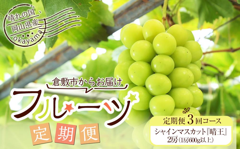 GC20　フルーツ ［2025年先行予約］ 岡山県産 シャインマスカット晴王3回定期便【シャインマスカット 果物 フルーツ 国産 人気 おすすめ 岡山県 倉敷市】