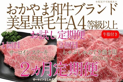 CN44【定期便2か月】　岡山　黒毛和牛　美星牛　A４等級以上　牛脂付き　お試し定期便 合計８００g　生産者直送便　美星町　美星牧場　定期便