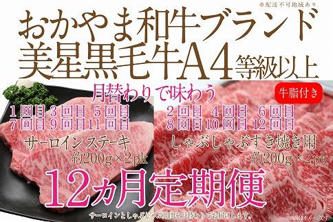 CN47【定期便12か月】岡山　黒毛和牛　美星牛　A４等級以上　牛脂付き　１２か月定期便 合計４８００g　 生産者直送便　美星町　美星牧場　定期便