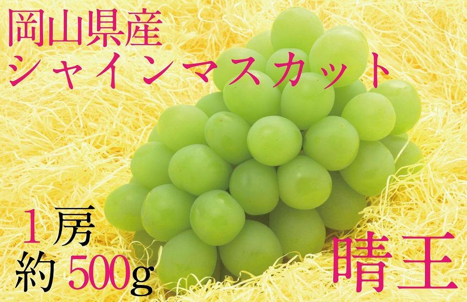 HT11　【先行予約】シャインマスカット晴王　1房【化粧箱入】　約500g【シャインマスカット シャイン マスカット 人気フルーツ 岡山フルーツ おすすめフルーツ 岡山県 倉敷市】