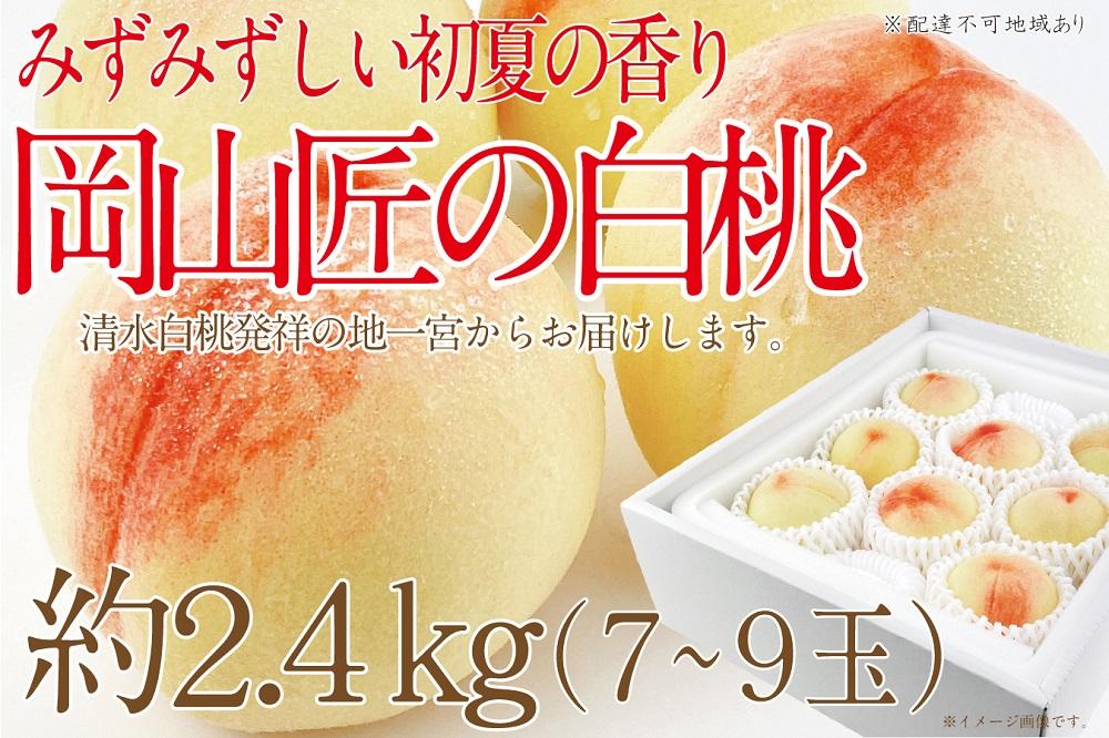 CN49【2025年先行予約】訳あり 家庭用 白桃 匠の白桃 2.4kg（7～9玉）【岡山県産 一宮産 みずみずしい 季節の味 旬をお届け フレッシュ 晴れの国 おかやま 果物大国 犬塚農園からお届け もぎたて便 当日出荷 岡山県 倉敷市 おすすめ 人気】
