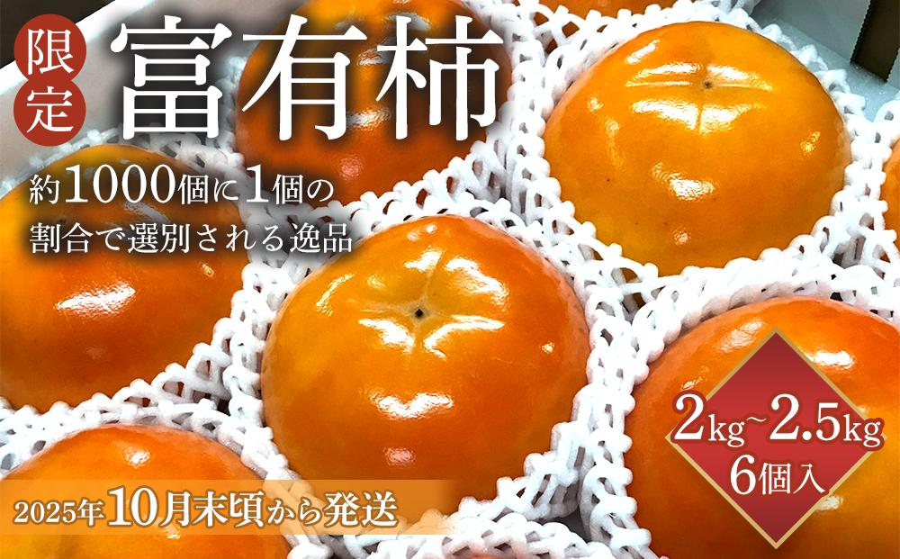 【限定】 富有柿 約2kg～2.5kg 6個入 至高の逸品 約1000個に１個！【先行予約】【2025年10月末頃から11月末頃順次発送】【KG5】