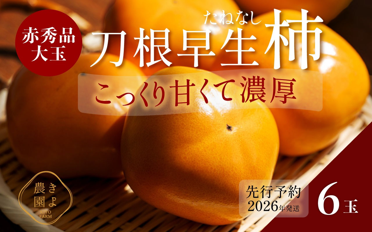 柿(種無し)&nbsp;6個入&nbsp;秀品大玉［2026年9月末頃より発送］［KT1］