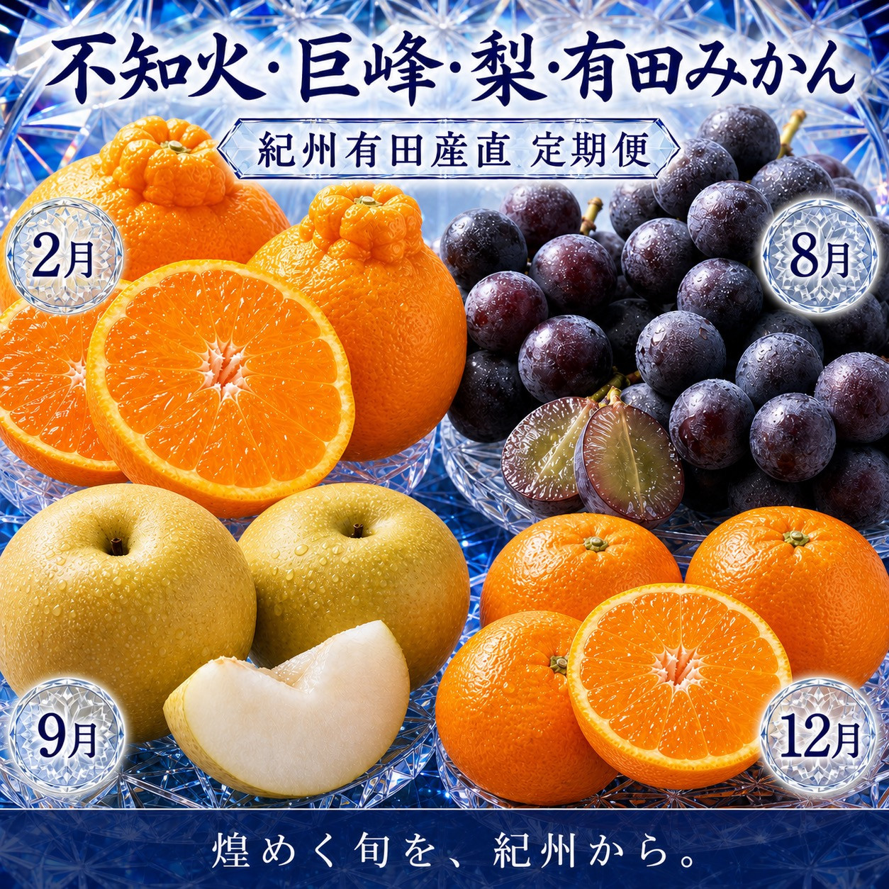 【2・8・9・12月&nbsp;全4回】紀州産&nbsp;巨峰とフルーツ定期便（巨峰・梨・みかん・不知火）&nbsp;【魚鶴】