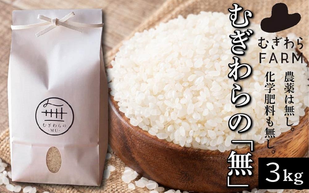 むぎわらの「無」3kg【米 こめ 白米 ひのひかり ヒノヒカリ ごはん ご飯 おにぎり 無農薬 家庭用 贅沢 人気 食品 オススメ 送料無料 福岡県 筑前町 DZ001】