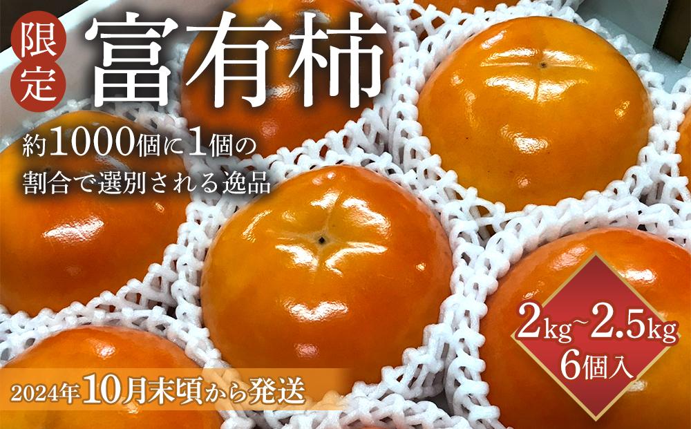 【限定】 富有柿 2kg～2.5kg 6個入 至高の逸品 約1000個に１個！【先行予約】【2024年10月末頃から発送】【KG5】