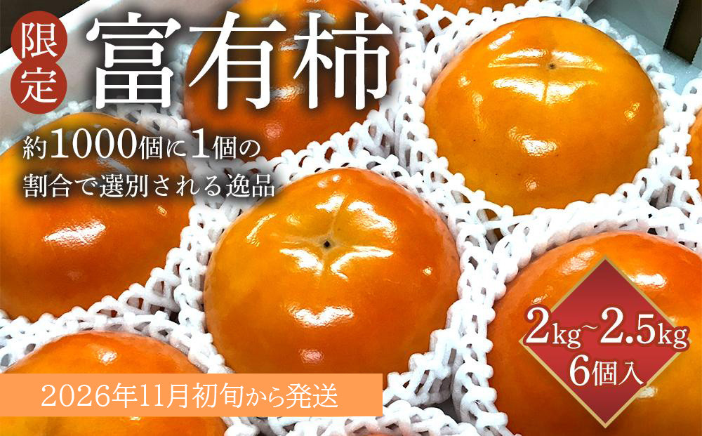 ［限定］&nbsp;富有柿&nbsp;2kg～2.5kg&nbsp;6個入&nbsp;至高の逸品&nbsp;約1000個に１個！［先行予約］［2026年11月初旬頃から発送］［KG5］