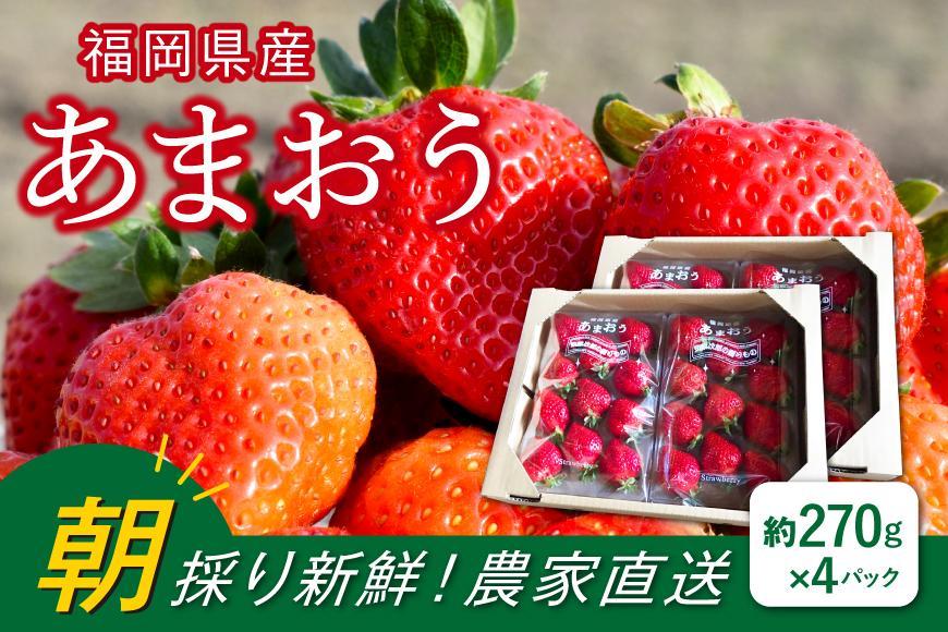 福岡県産 あまおう いちご 4パック 農家直送 イチゴ 専用 パッケージ