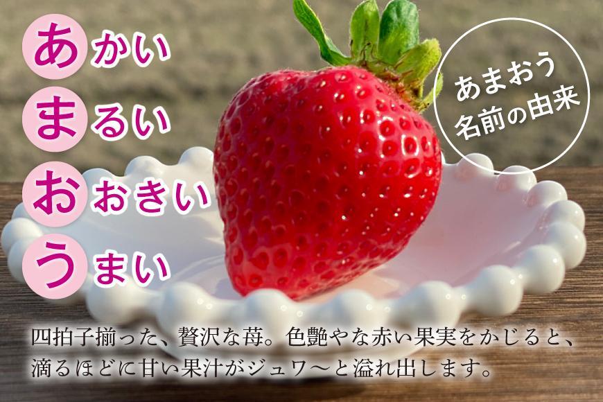 福岡県産 あまおう いちご 4パック 農家直送 イチゴ 専用 パッケージ