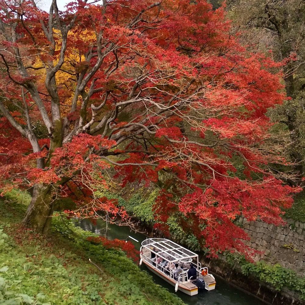 【びわ湖疏水船：三井寺便】秋シーズン先行予約権（１名様分の先行予約の権利と乗船引換券）