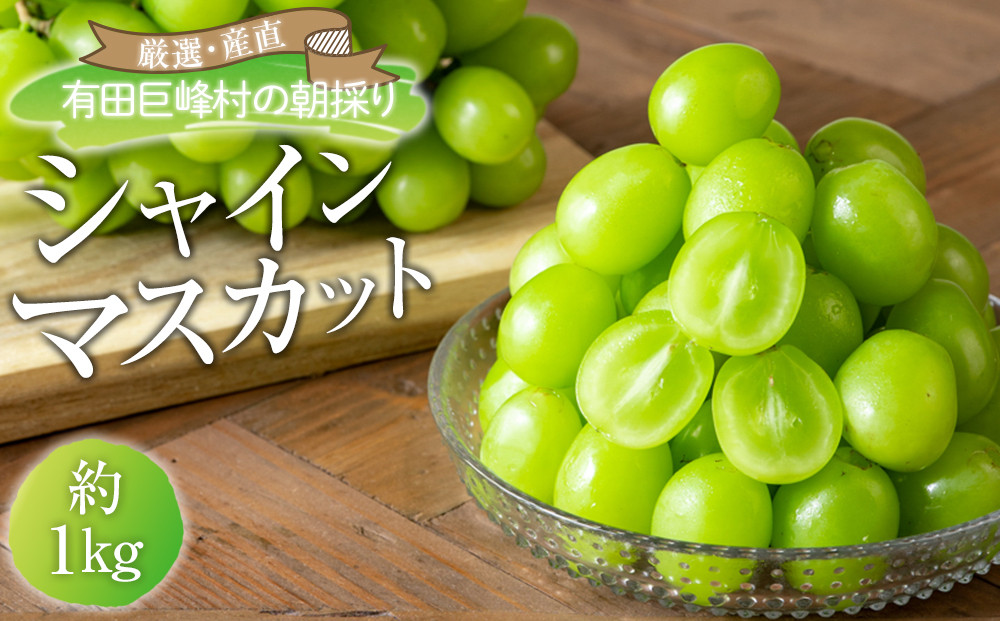 ［先行予約］シャインマスカット&nbsp;約1kg&nbsp;&nbsp;(2房～3房)&nbsp;有田巨峰村&nbsp;【朝採&nbsp;新鮮】&nbsp;■2026年発送■※8月下旬頃から9月下旬頃まで順次発送予定