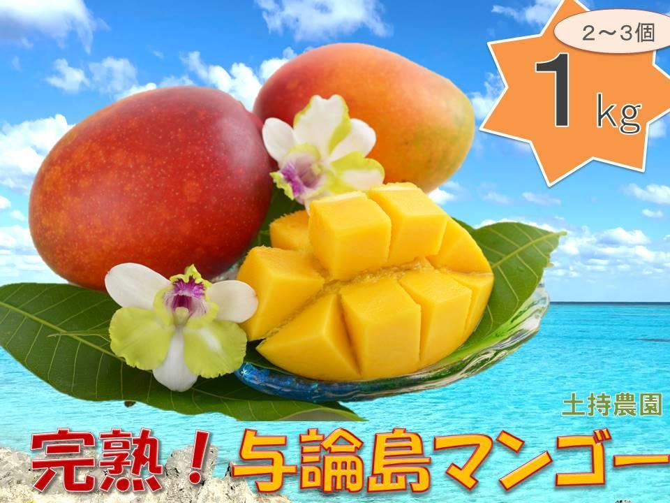 ★厳選★ 完熟 与論島マンゴー １kg（2～3個）【数量限定】【産地直送】【先行予約】