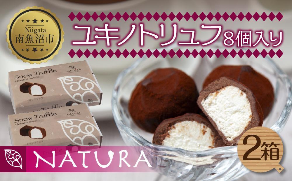 ユキノトリュフ 8個 2箱 チョコレート ココア おやつ スイーツ  洋菓子 バレンタイン 誕生日 お祝い 贈り物 ギフト お取り寄せ 冷凍 グルメ パーティー 魚野の里 ナトゥーラ 新潟県 南魚沼市