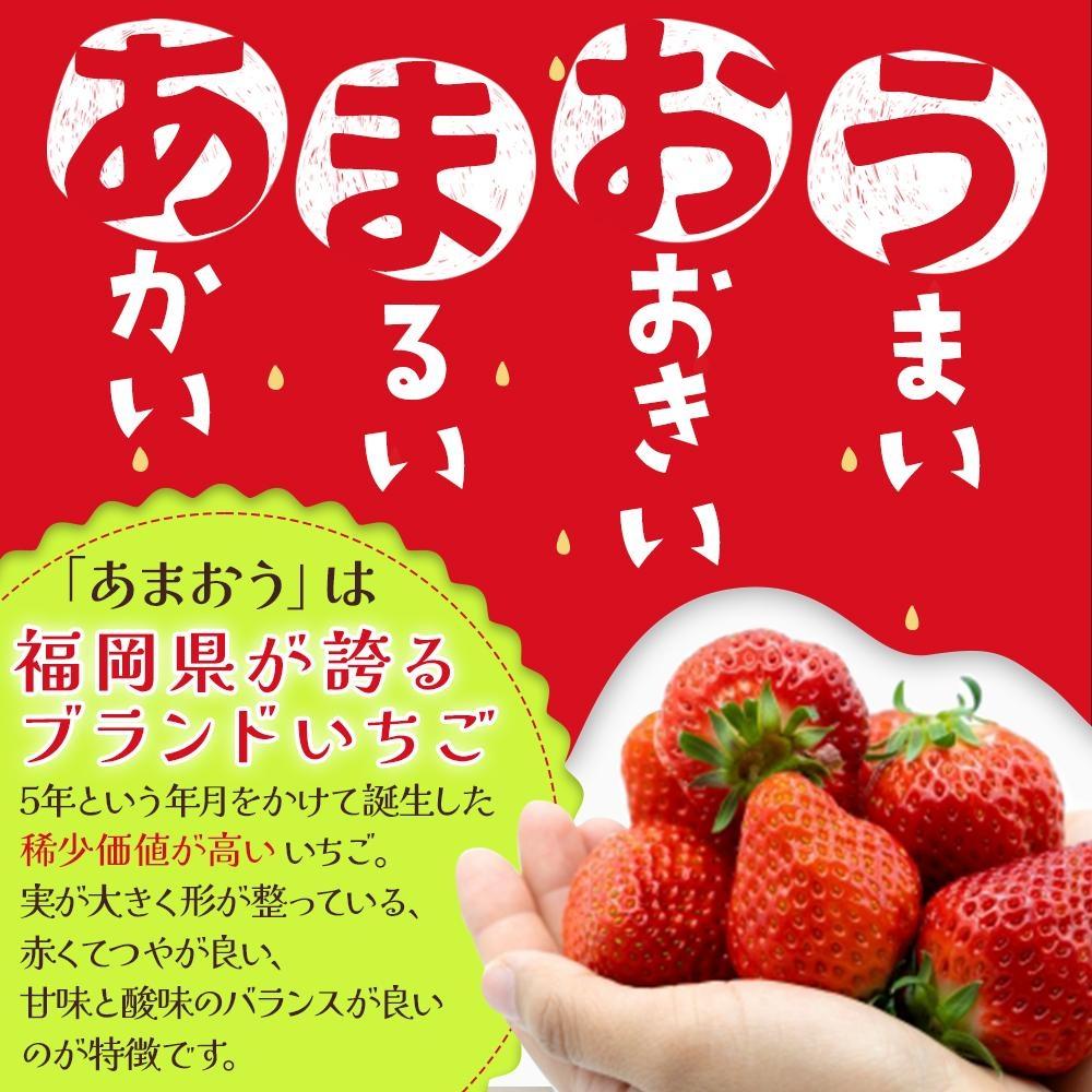 あかい・まるい・おおきい・うまい「博多あまおう」の冷凍あまおう　合計2kg