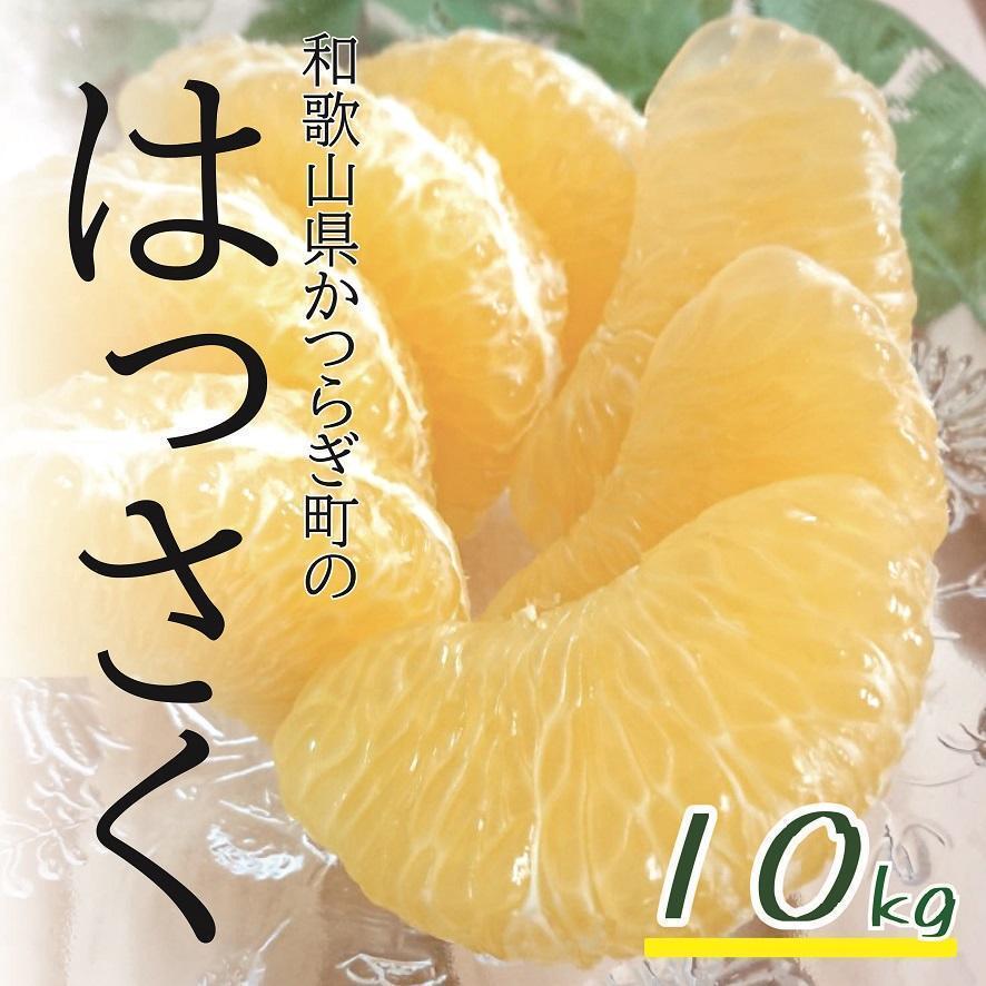 15愛媛県西宇和産 高級柑橘♡甘平 サイズ混合 減農薬4.5キロ箱込み