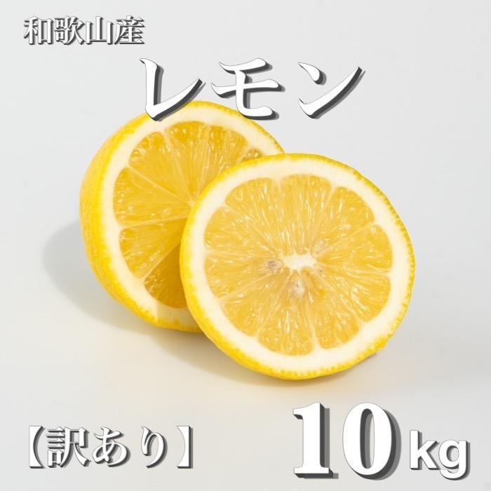 和歌山産 レモン 10kg  【訳あり】 【US3】