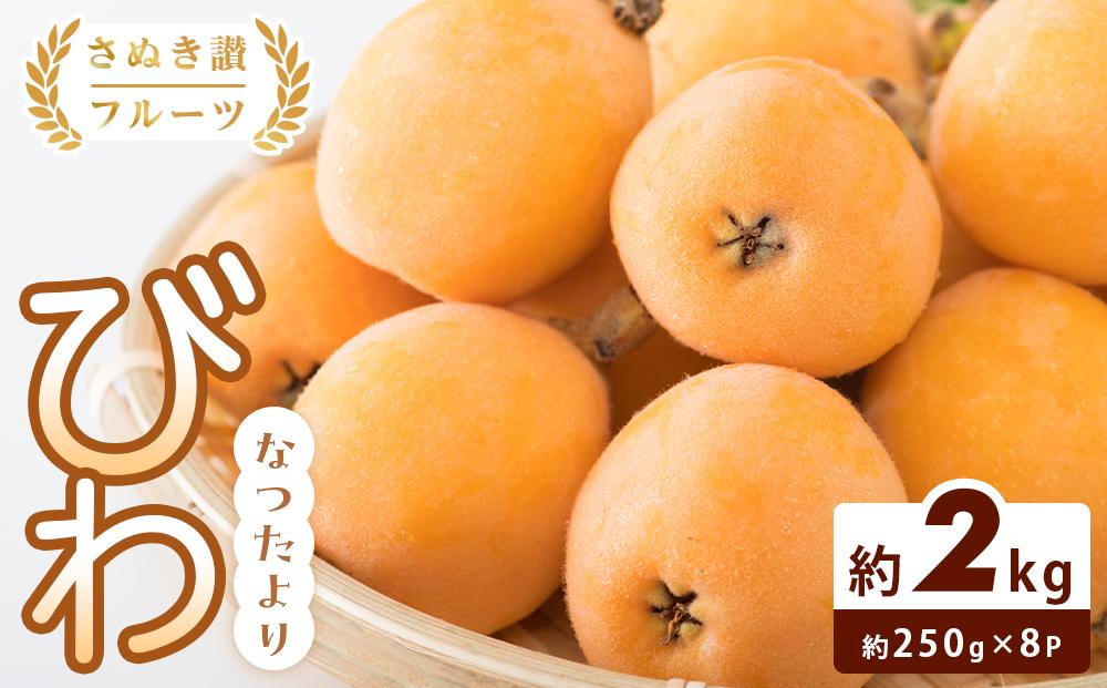 【さぬき讃フルーツ】びわ&nbsp;なつたより&nbsp;約1kg(約250g×4)×2箱