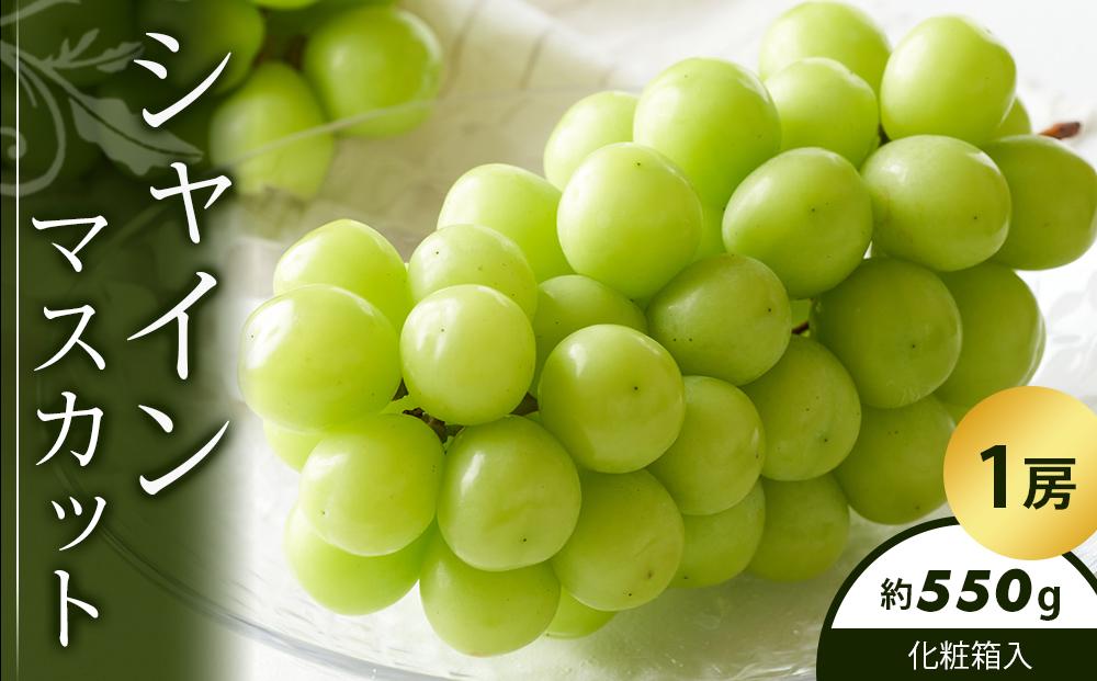 シャインマスカット&nbsp;1房化粧箱入り&nbsp;(約550g)