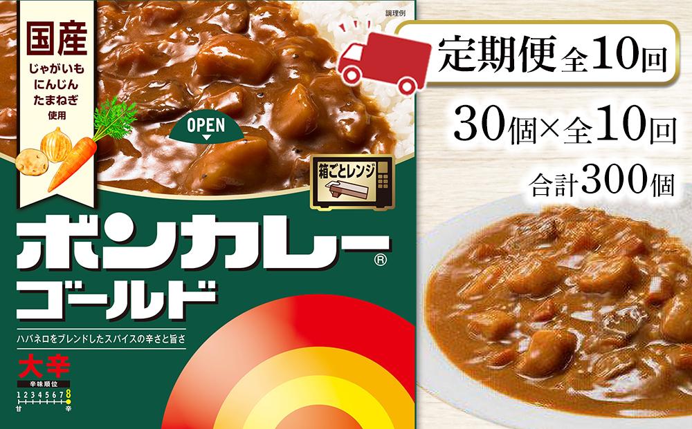 【定期便 全10回】ボンカレーゴールド（大辛）30個×10回　計300個