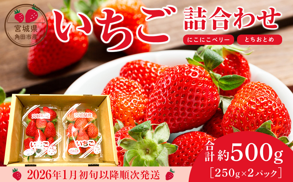 【JAみやぎ仙南】宮城県角田市産いちご　にこにこベリー・とちおとめ詰合せ　合計約500g（250g×2パック）