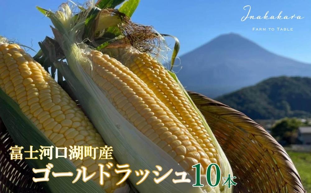  【富士山の麓で育つ】河口湖町 Inakakara 「ゴールドラッシュ」10本 野菜 やさい とうもろこし トウモロコシ コーン 先行予約