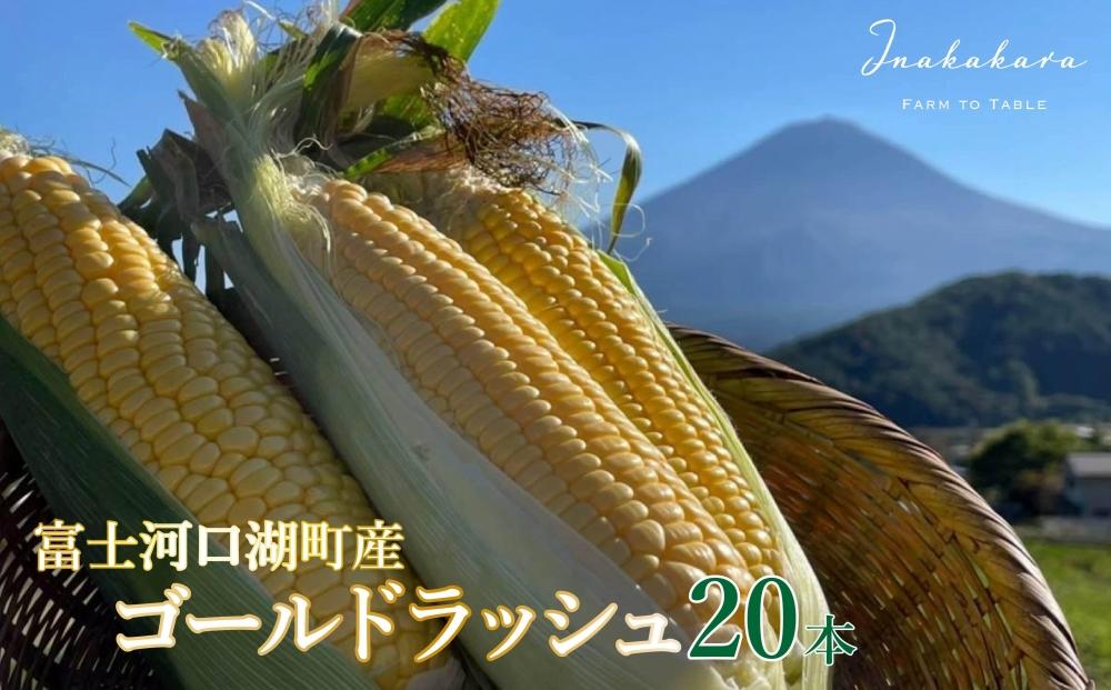  【富士山の麓で育つ】河口湖町 Inakakara 「ゴールドラッシュ」20本 野菜 やさい とうもろこし トウモロコシ コーン 先行予約