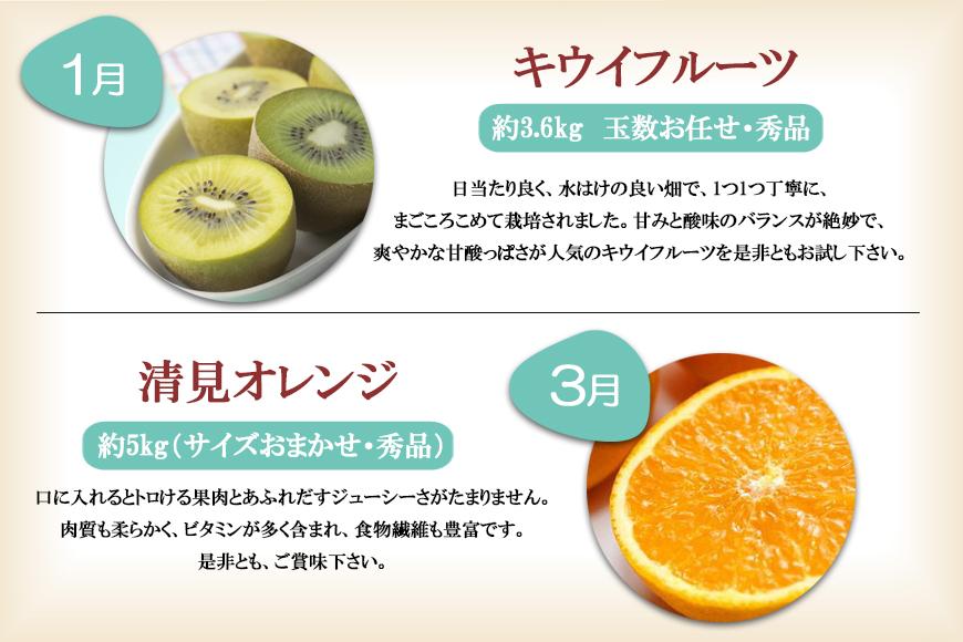 和歌山の旬の果実を 奇数月にお届け全6回定期便（キウイ・清見オレンジ