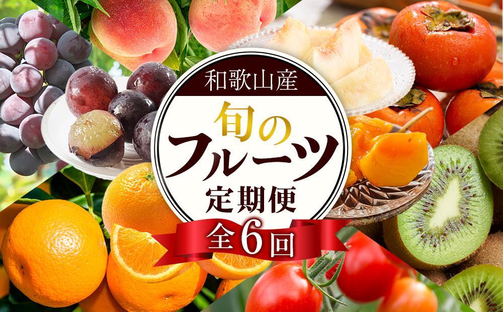 和歌山の旬の果実を 奇数月にお届け全6回定期便（キウイ・清見オレンジ・ミニトマト・桃・ピオーネ・富有柿）【TM62】