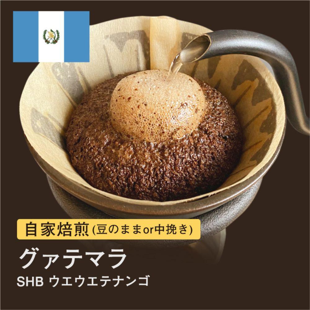 【豆】#004 グァテマラ SHB ウエウエテナンゴ コーヒー豆 310g 自家焙煎 大山珈琲