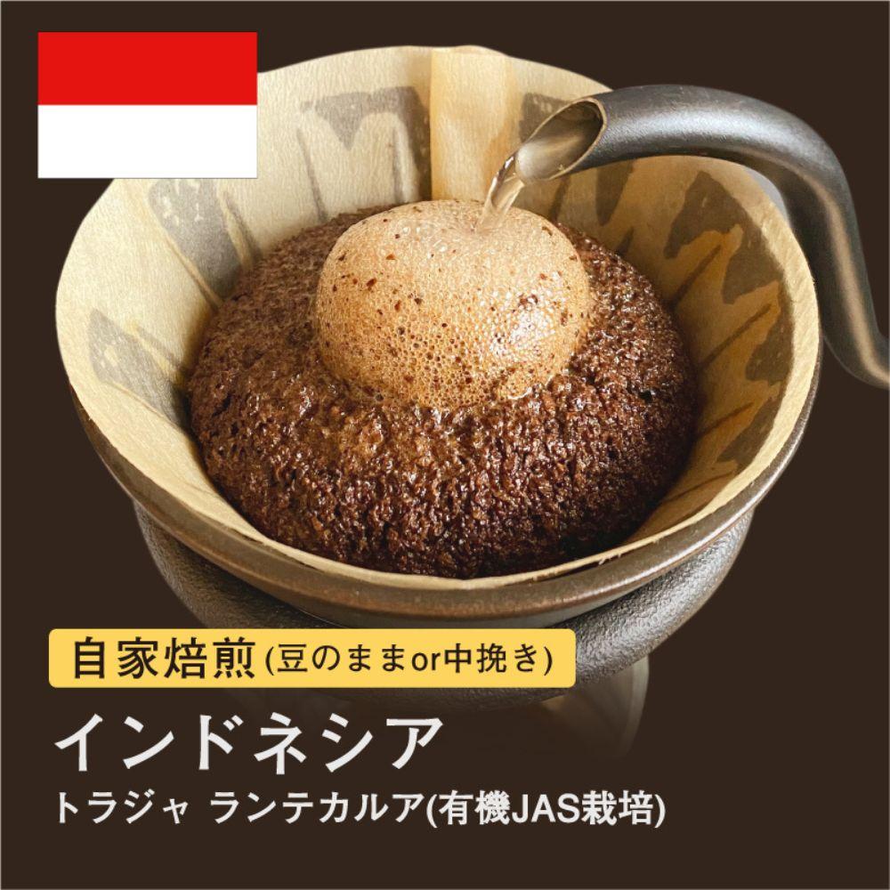 【豆】#007 トラジャ ランテカルア コーヒー豆 310g 自家焙煎 大山珈琲