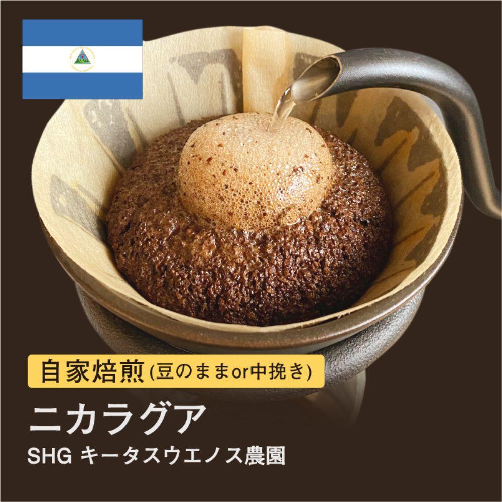 【豆】#038 ニカラグア SHG キータスウエノス農園 コーヒー豆 310g 当日焙煎 大山珈琲