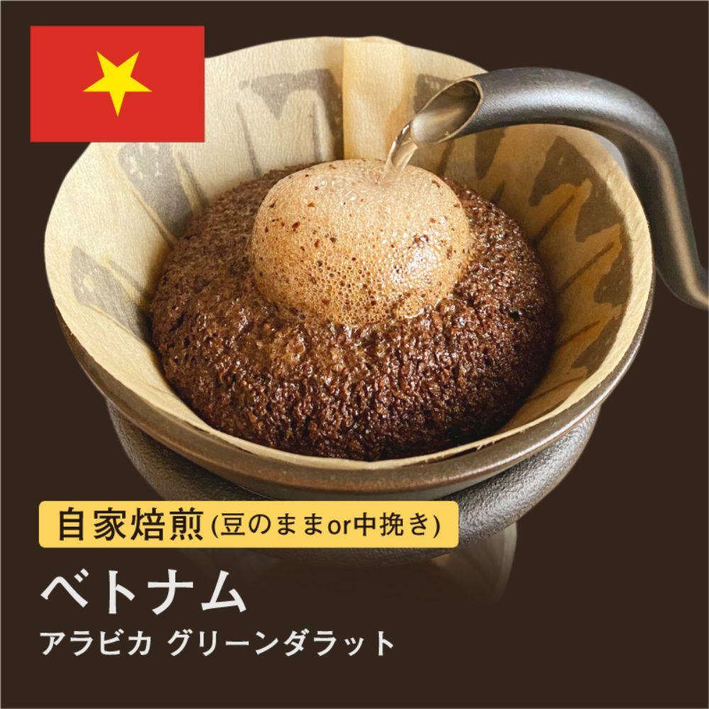 【豆】#172 ベトナム アラビカ グリーンダラット コーヒー豆 310g 当日焙煎 大山珈琲