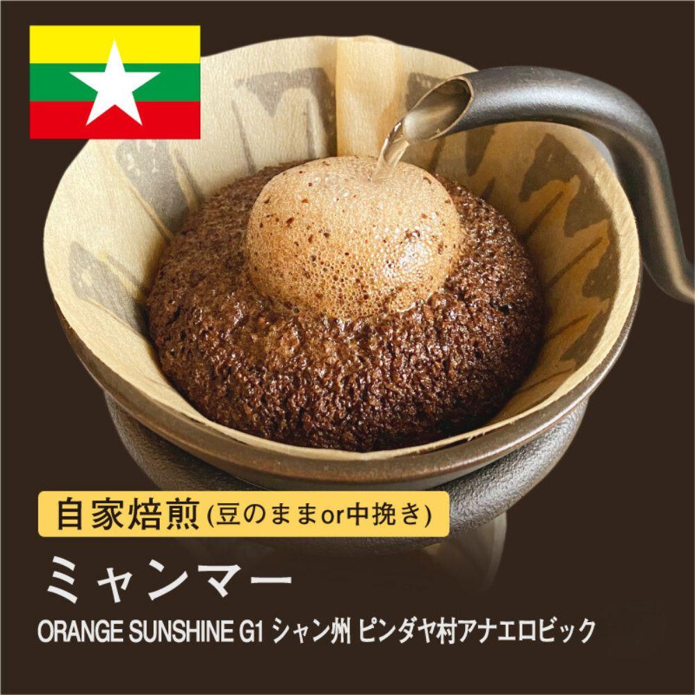 【豆】#180 ミャンマー ORANGE SUNSHINEG1 コーヒー豆 310g 当日焙煎 大山珈琲