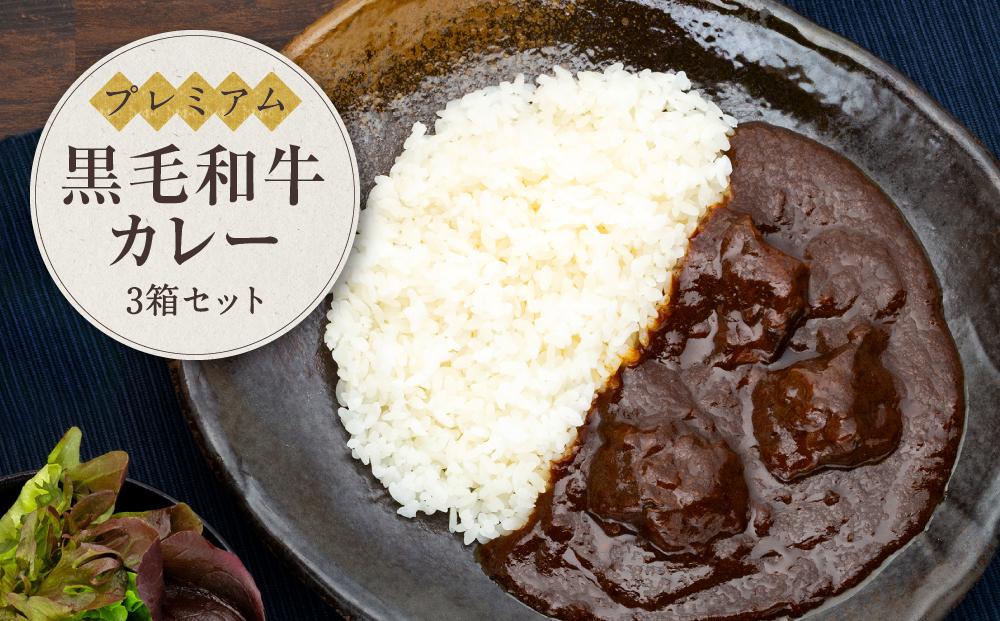 プレミアム黒毛和牛　カレー（３箱セット）鎌倉　河野牛豚肉店 | カレー レトルト レトルトカレー ビーフ ビーフカレー 黒毛和牛 スパイス ３箱 保存食 非常食 肉 お肉 にく 食品 人気 おすすめ 送料無料 ギフト 鎌倉 神奈川