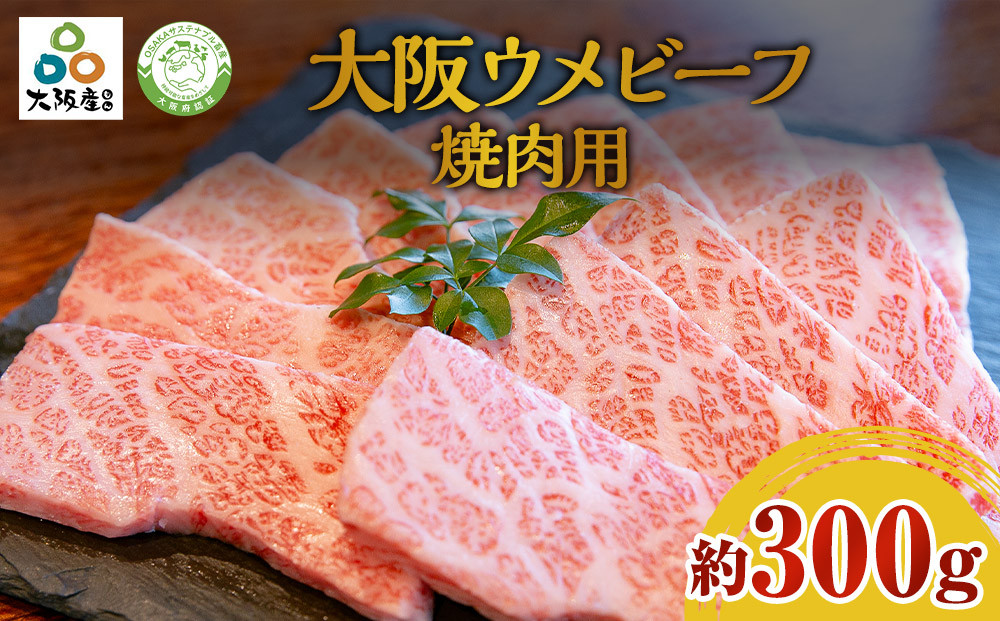 大阪ウメビーフ　焼肉用300g