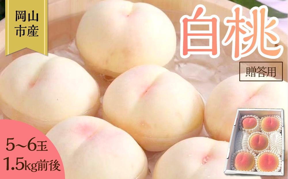 桃 2026年 贈答用 岡山 白桃 5玉～６玉 1.5kg 前後 もも 岡山県産 国産 フルーツ 果物 ギフト 雅桃園