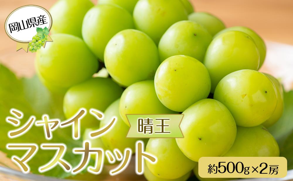 岡山県産 ぶどう 2024年 先行予約 シャイン マスカット 晴王 約500g×2房 計1kg 種無し ブドウ 葡萄 フルーツ 果物 ギフト 