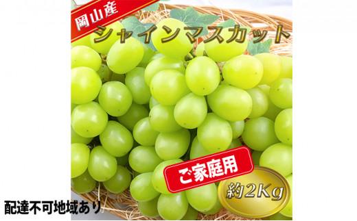 ぶどう 2025年 先行予約 ご家庭用 シャイン マスカット 約2kg 糖度抜群！ 【9月上旬～順次発送分】 ブドウ 葡萄 岡山県産 国産 フルーツ 果物