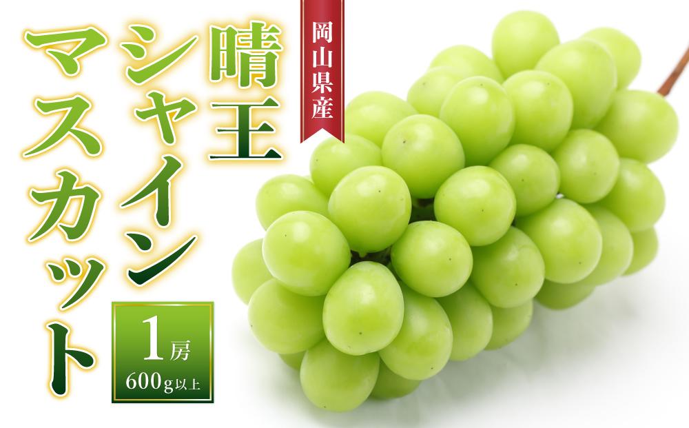 ぶどう［2024年先行予約］晴王 シャインマスカット 1房（600g以上）岡山県産 