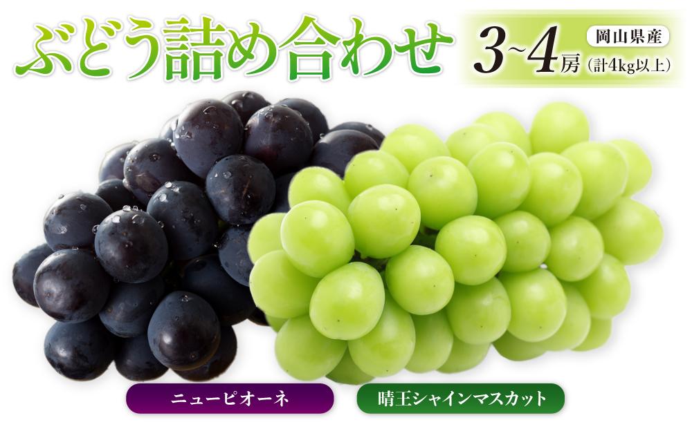 ぶどう［2024年先行予約］晴王 シャインマスカット 3～4房＆ニューピオーネ 3～4房（計4kg以上） 詰め合わせ 岡山県産 