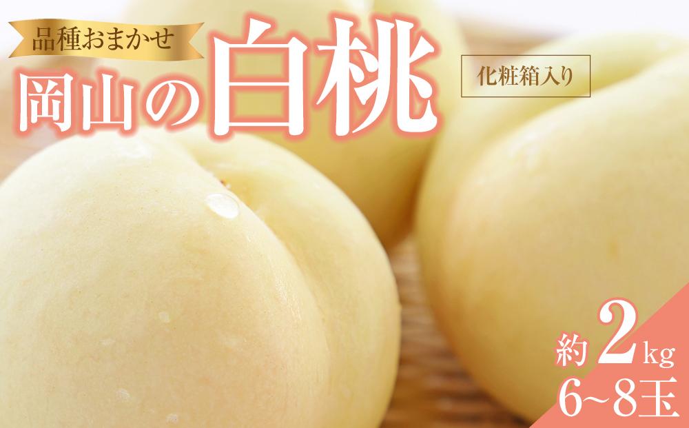桃 2025年 先行予約 岡山の 白桃 （早生、中生種）約2.0kg 6～8玉 もも モモ 岡山県産 国産 フルーツ 果物 ギフト 横木農園