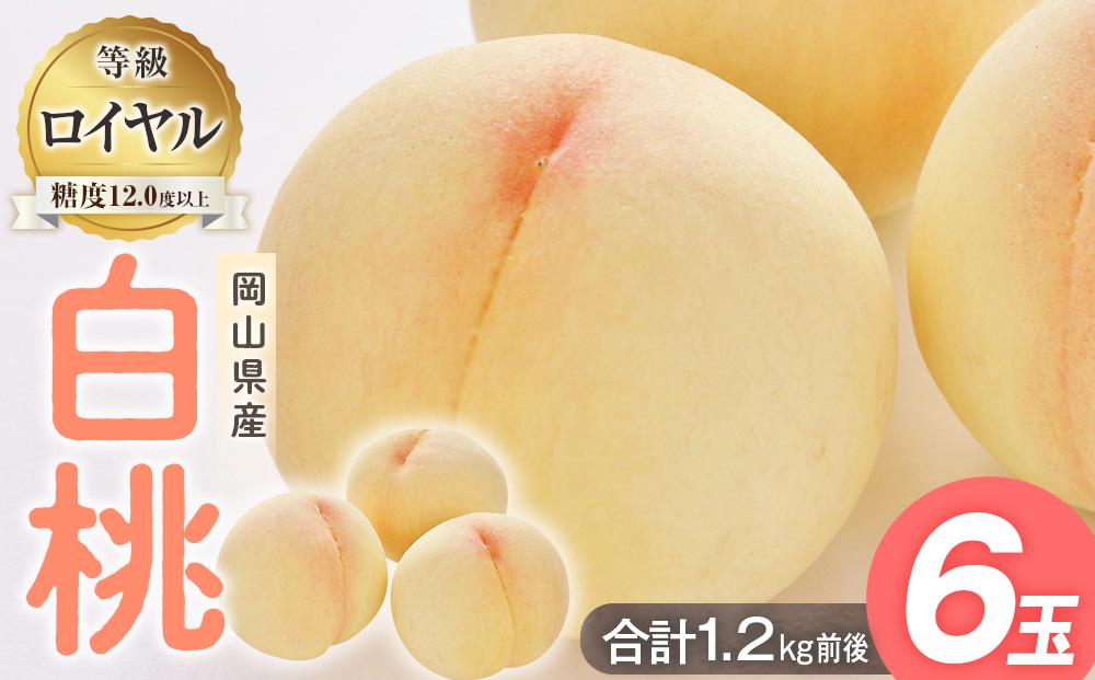 桃&nbsp;2025年&nbsp;&nbsp;白桃&nbsp;等級:&nbsp;ロイヤル&nbsp;糖度12.0度以上&nbsp;6玉入り&nbsp;合計1.2kg前後&nbsp;もも&nbsp;モモ&nbsp;岡山県産&nbsp;国産&nbsp;フルーツ&nbsp;果物&nbsp;ギフト